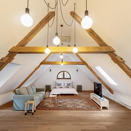Citadel 58 - Unique Property In The Old Town, Next To The Citadel And Central Park 브라쇼브 외부 사진